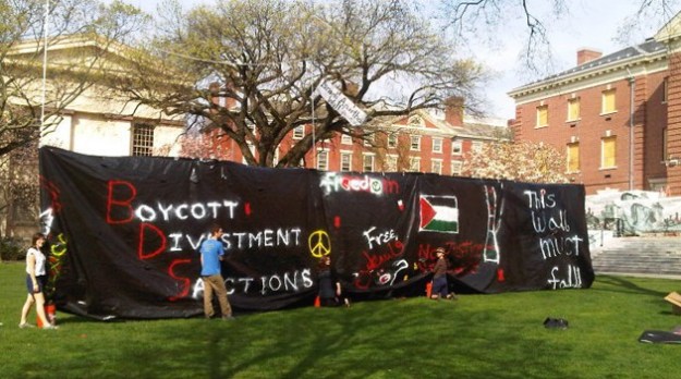 wall-palestine-side1-brown-u