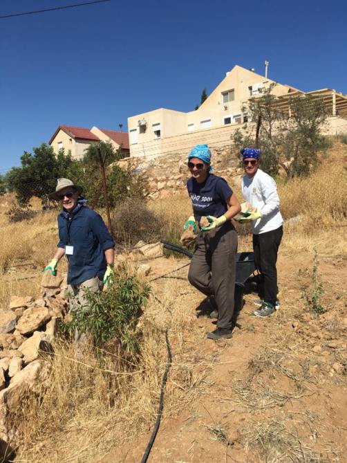 13626630_10208132830612073_8288311936024060602_n