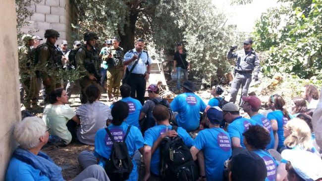 13730785_1728357484103891_5709147705551236607_o